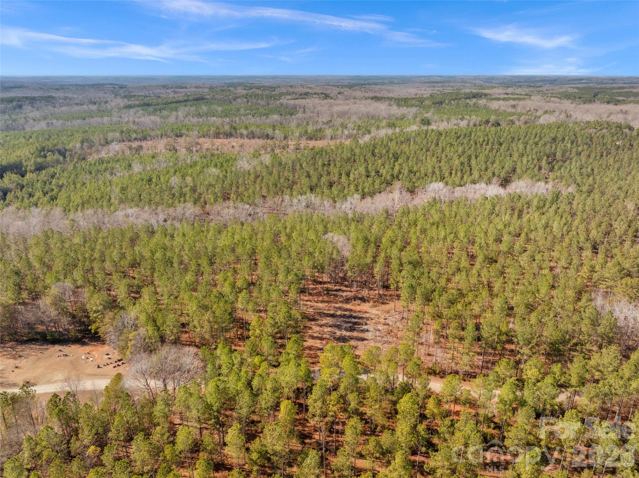 0 Peacehaven Road, Unit 2 McConnells, SC 29726 - Photo 38 of 46