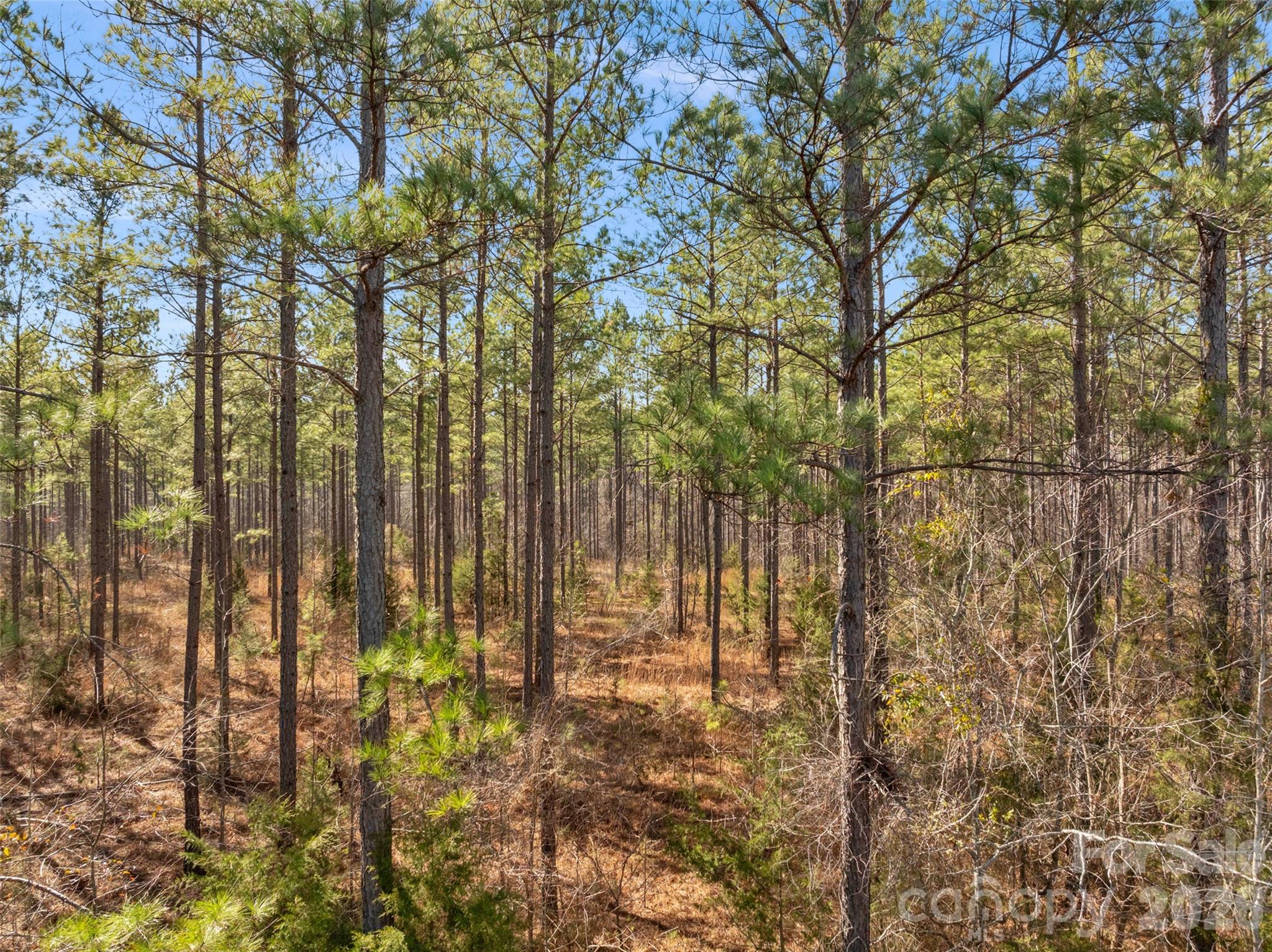 0 Peacehaven Road, Unit 2 McConnells, SC 29726 - Photo 39 of 46