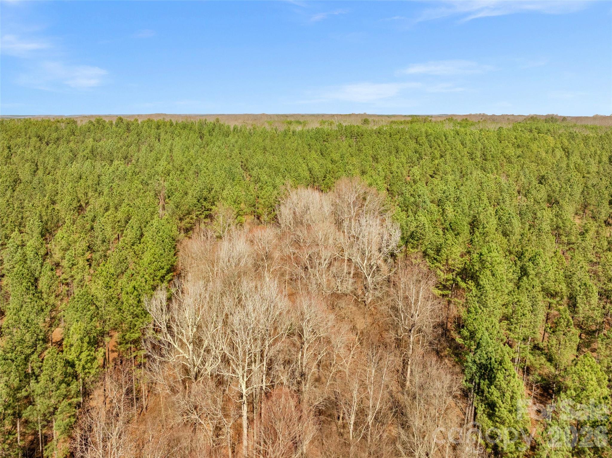 0 Peacehaven Road, Unit 2 McConnells, SC 29726 - Photo 40 of 46