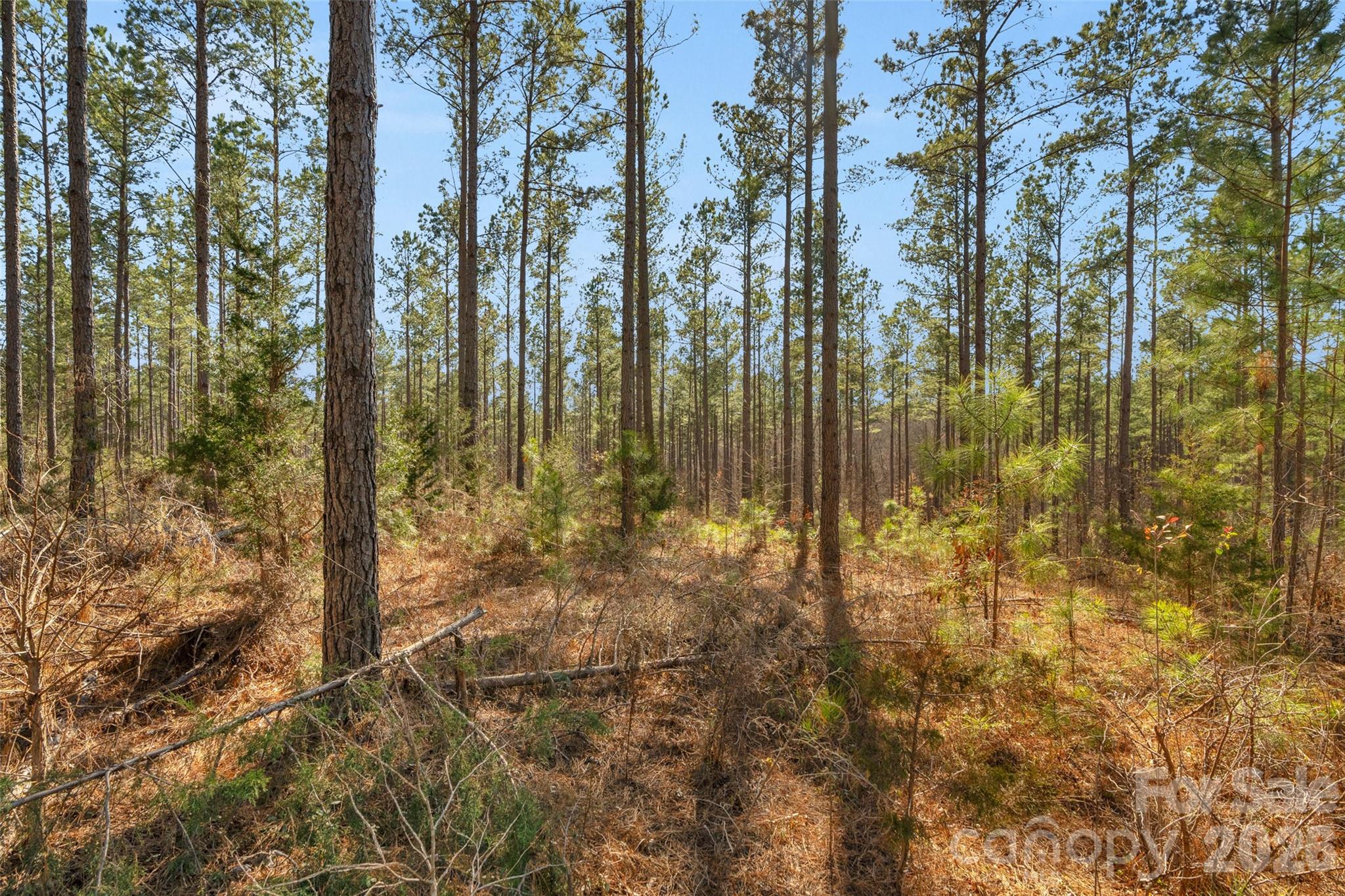 0 Peacehaven Road, Unit 2 McConnells, SC 29726 - Photo 4 of 46