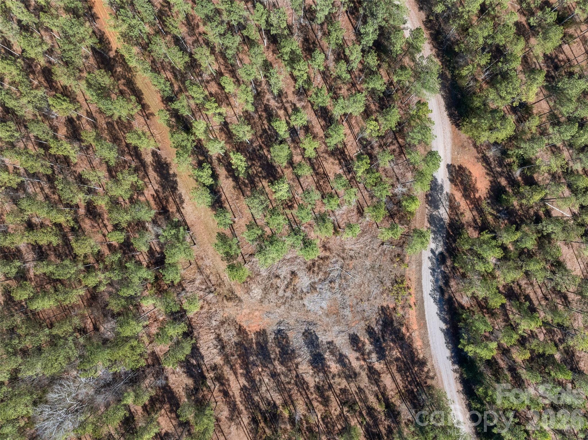 0 Peacehaven Road, Unit 2 McConnells, SC 29726 - Photo 41 of 46