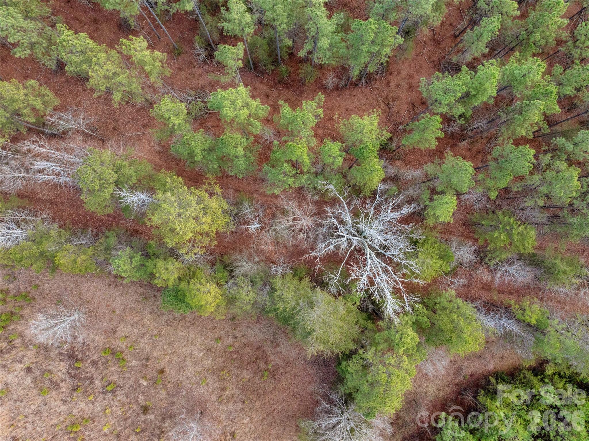 0 Peacehaven Road, Unit 2 McConnells, SC 29726 - Photo 42 of 46