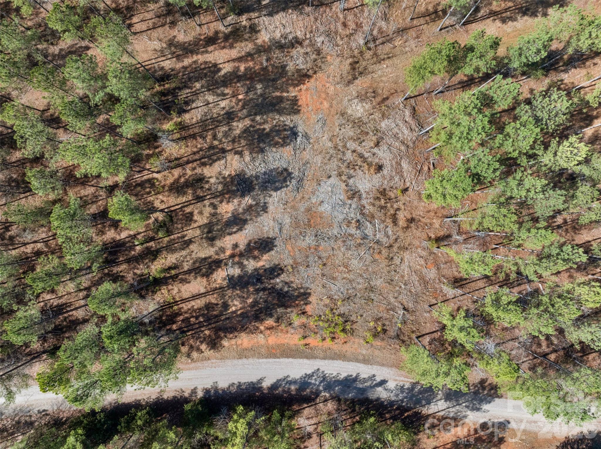 0 Peacehaven Road, Unit 2 McConnells, SC 29726 - Photo 44 of 46