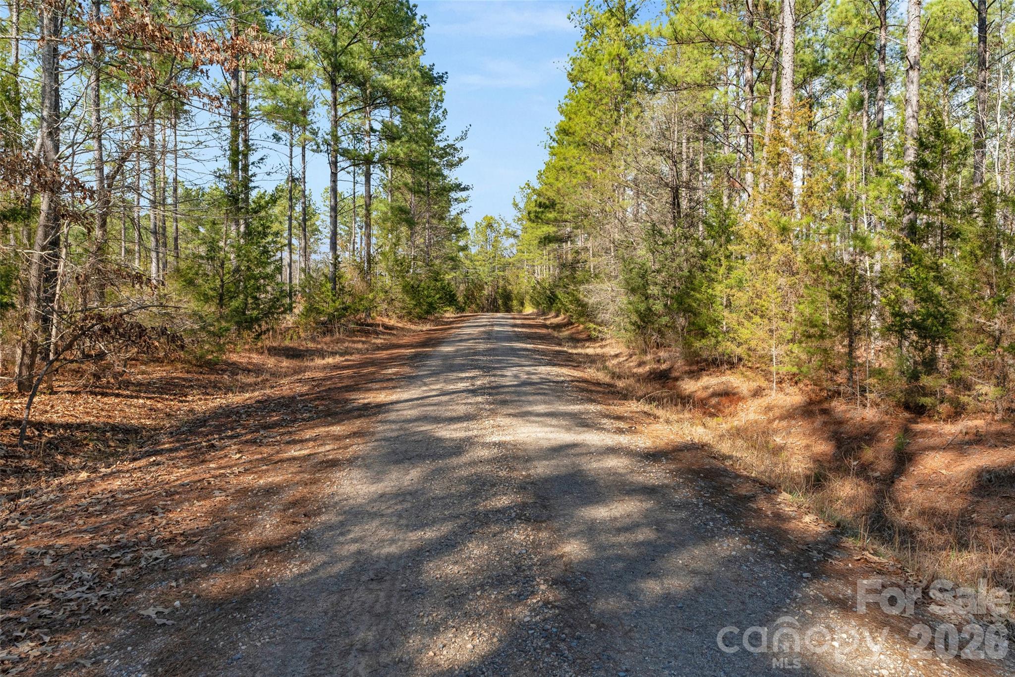 0 Peacehaven Road, Unit 2 McConnells, SC 29726 - Photo 5 of 46