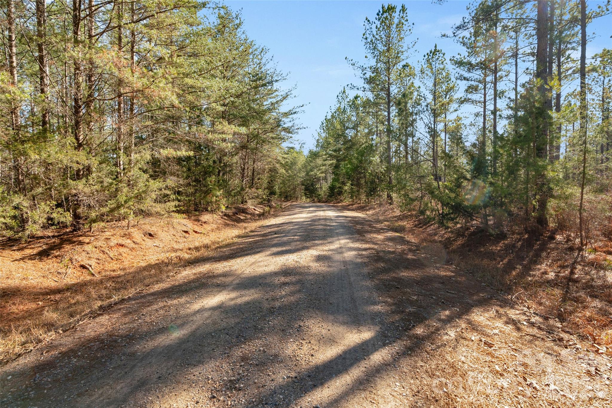 0 Peacehaven Road, Unit 2 McConnells, SC 29726 - Photo 6 of 46