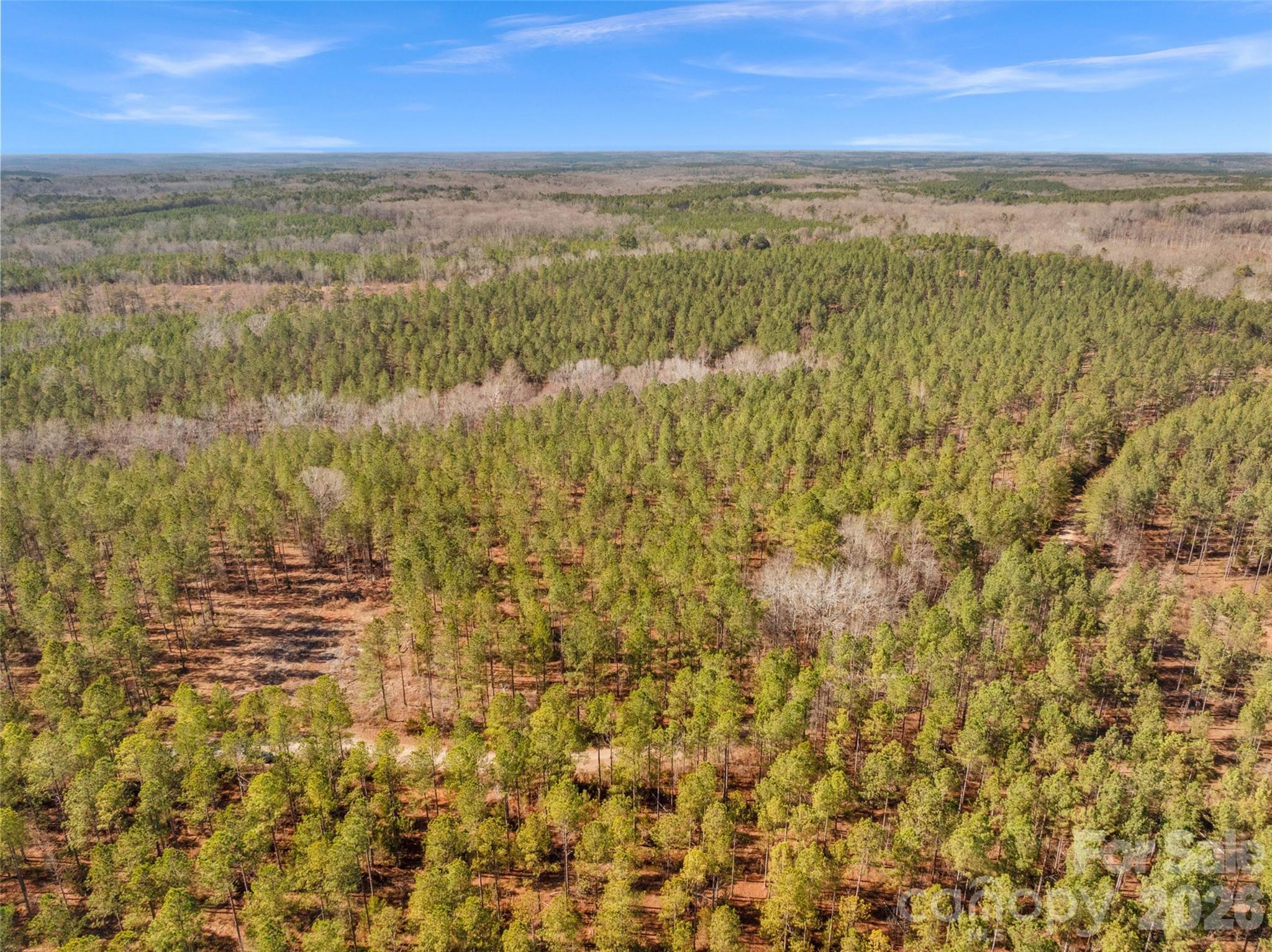 0 Peacehaven Road, Unit 2 McConnells, SC 29726 - Photo 7 of 46