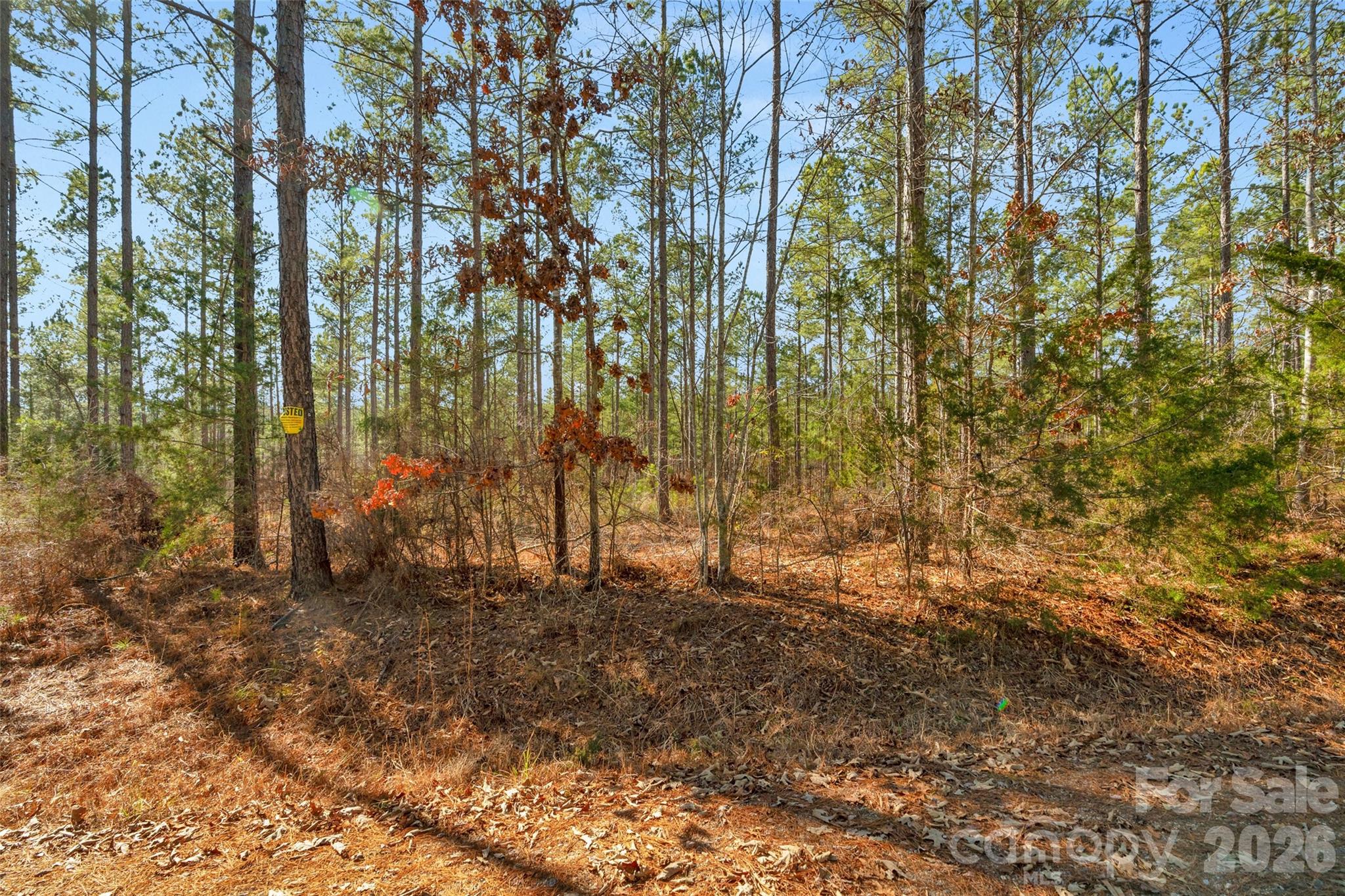 0 Peacehaven Road, Unit 2 McConnells, SC 29726 - Photo 10 of 46