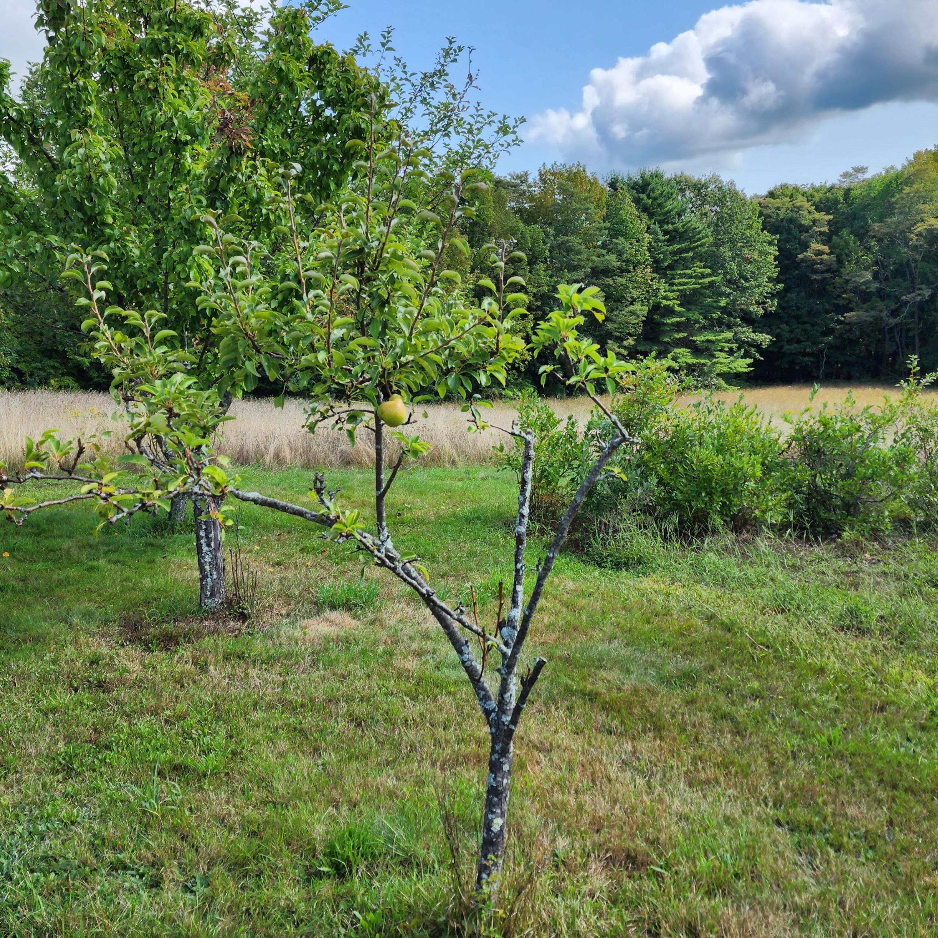 721 Oakland Road Belgrade, ME 04917 - Photo 10 of 43 10