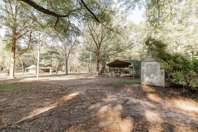 a view of a yard with a house and a trees