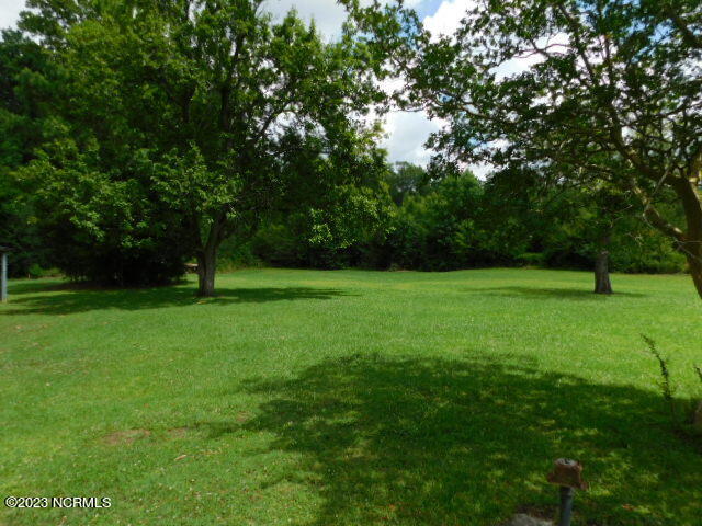 1000 Butler Ford Road Vanceboro, NC 28586 - Photo 18 of 20 rear lawn