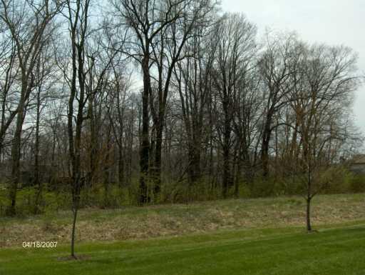 828 Brendle Trace, Unit 36 Springfield, OH 45503 - Photo 7 of 7