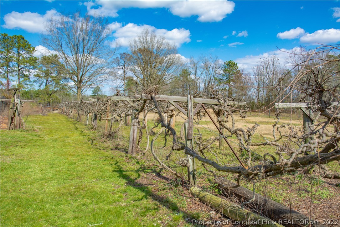 10440 Deep Branch Road Pembroke, NC 28372 - Photo 33 of 34 Gallery Image 33