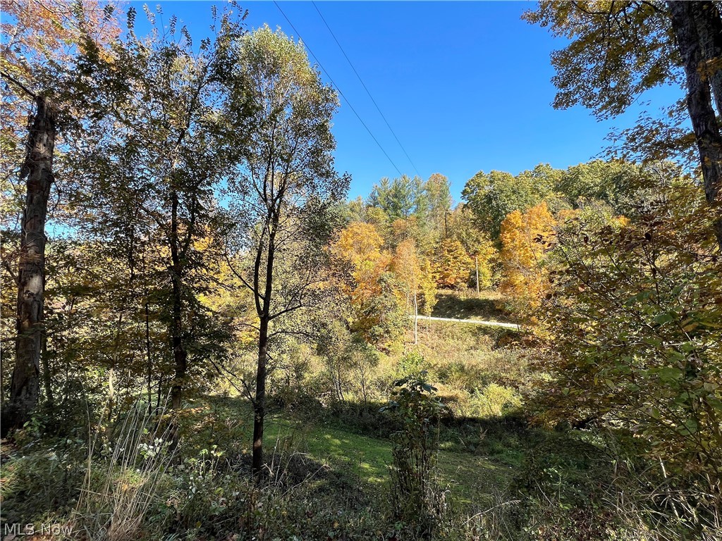 4920 Rider Road Roseville, OH 43777 - Photo 4 of 35 Gallery Image 4