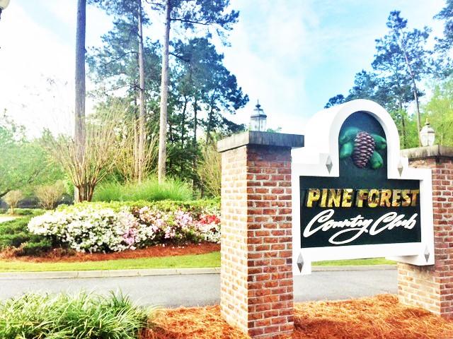 716 Kilarney Road Summerville, SC 29483 - Photo 50 of 50 Your New Community - Pine Forest