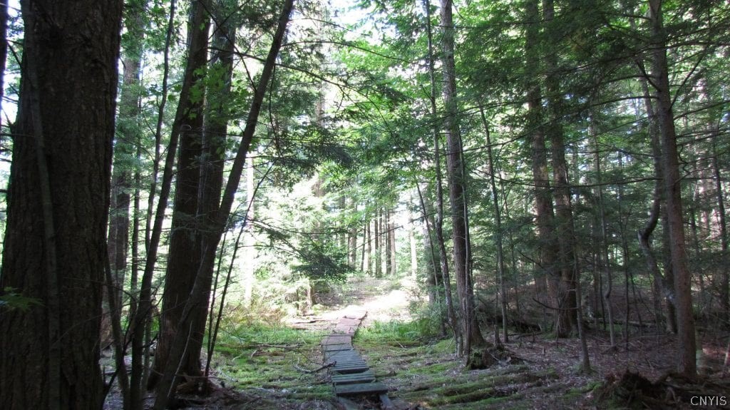 150 Birmingham Road Camden, NY 13316 - Photo 22 of 25 Gallery Image 22