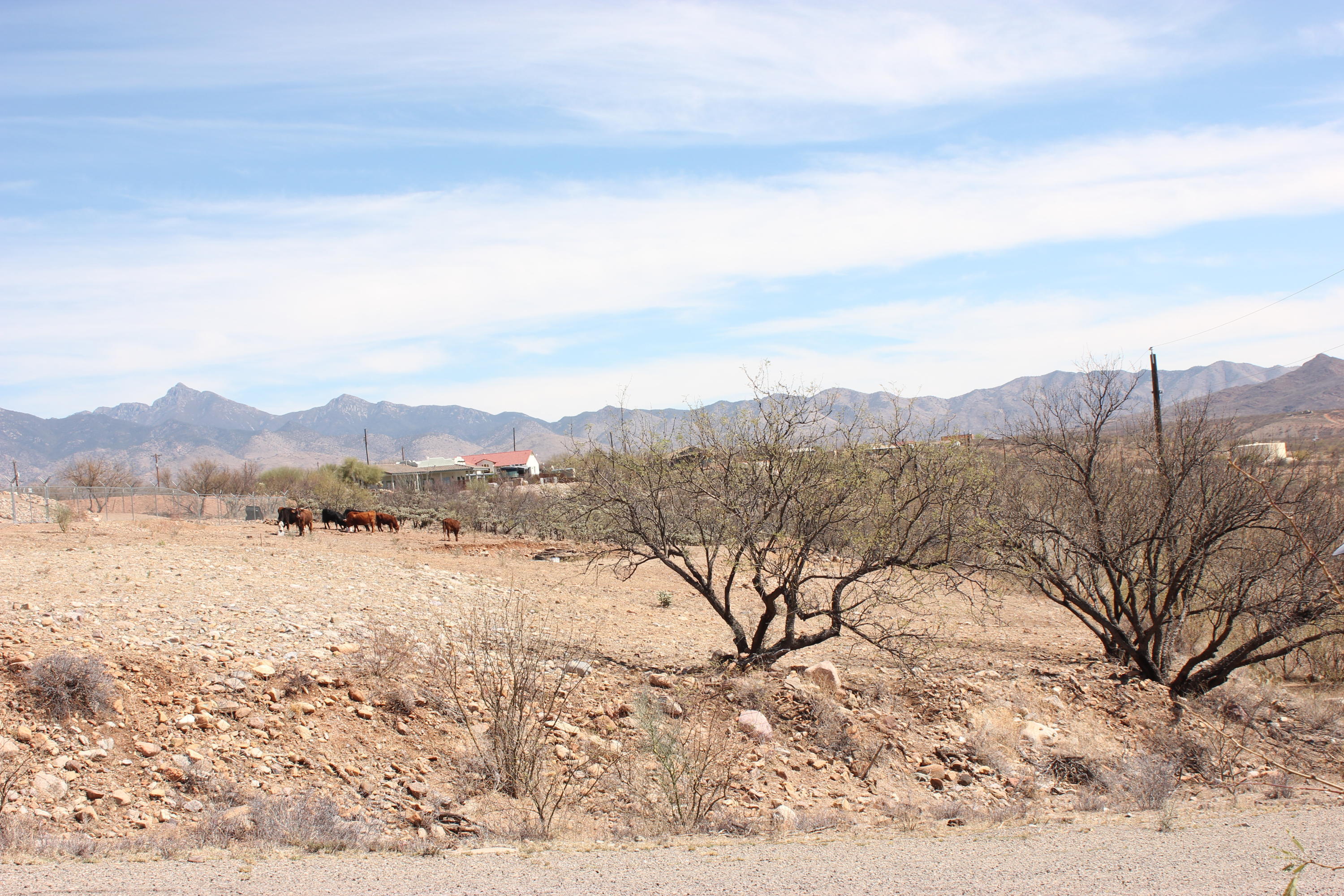 1864 Circulo Guatemala, Unit 280 Rio Rico, AZ 85648 - Photo 3 of 3