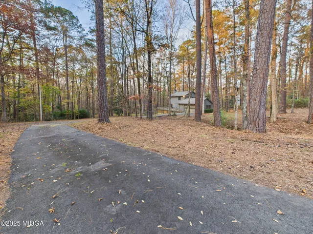 a view of dirt yard with a large tree