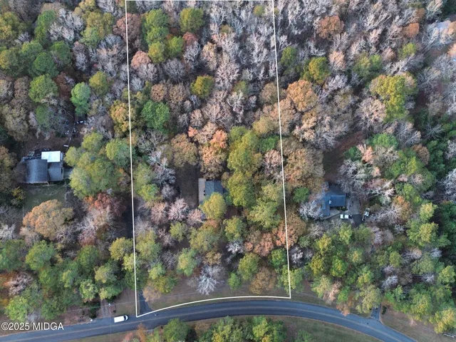 a view of a garden with plants