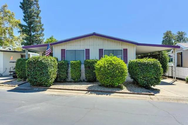 a potted plant sitting in front of a house