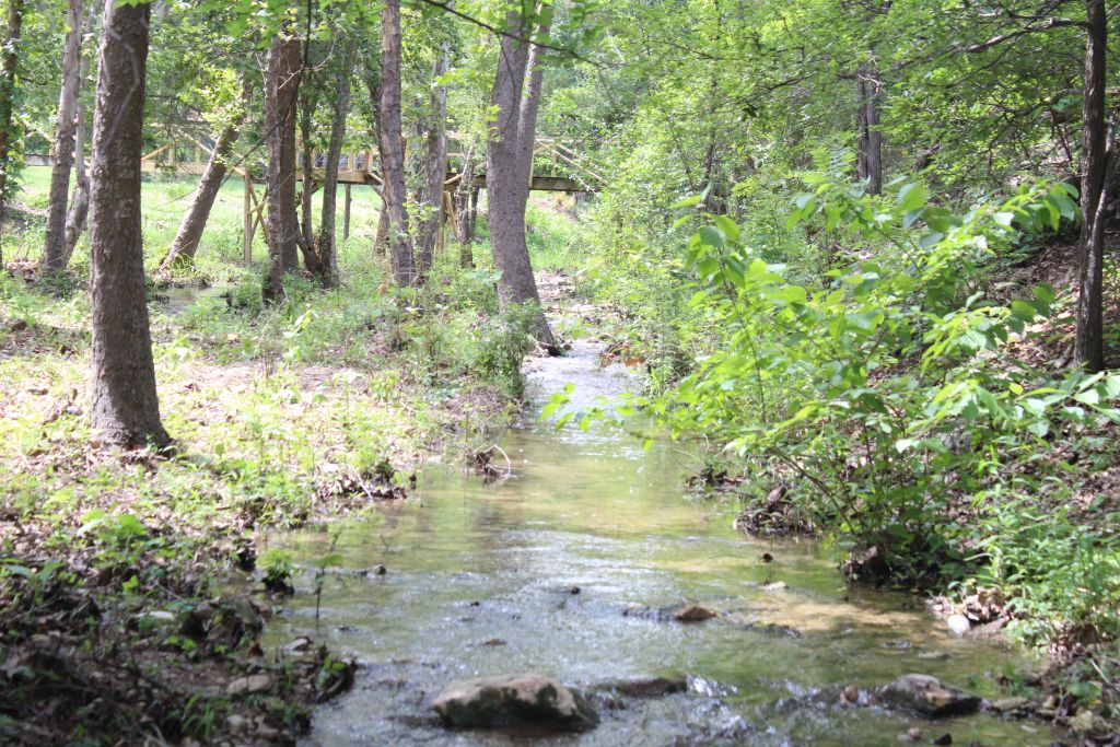 17234 West Reed Park Road Jonestown, TX 78645 - Photo 4 of 30 Our scenic flowing creek with foot bridge in background