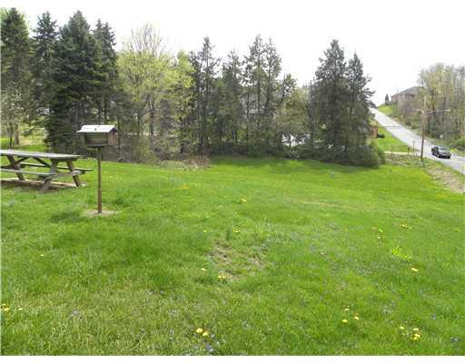 262 Forest Grove Road Coraopolis, PA 15108 - Photo 17 of 18 Yard/Garden.