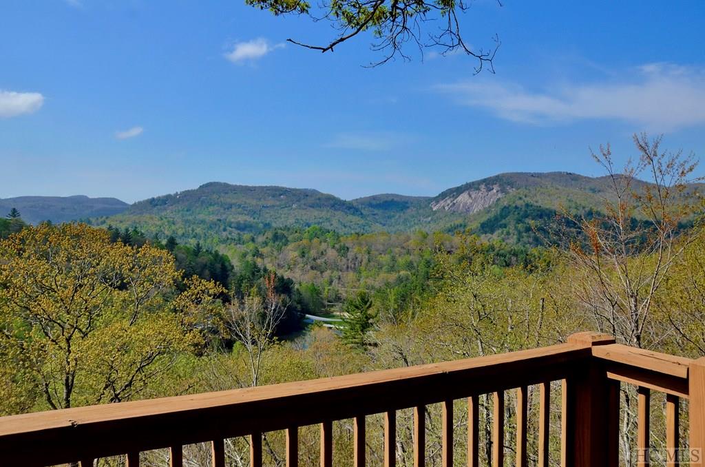 644 Deer Run Road Sapphire, NC 28774 - Photo 32 of 46 Gallery Image 32