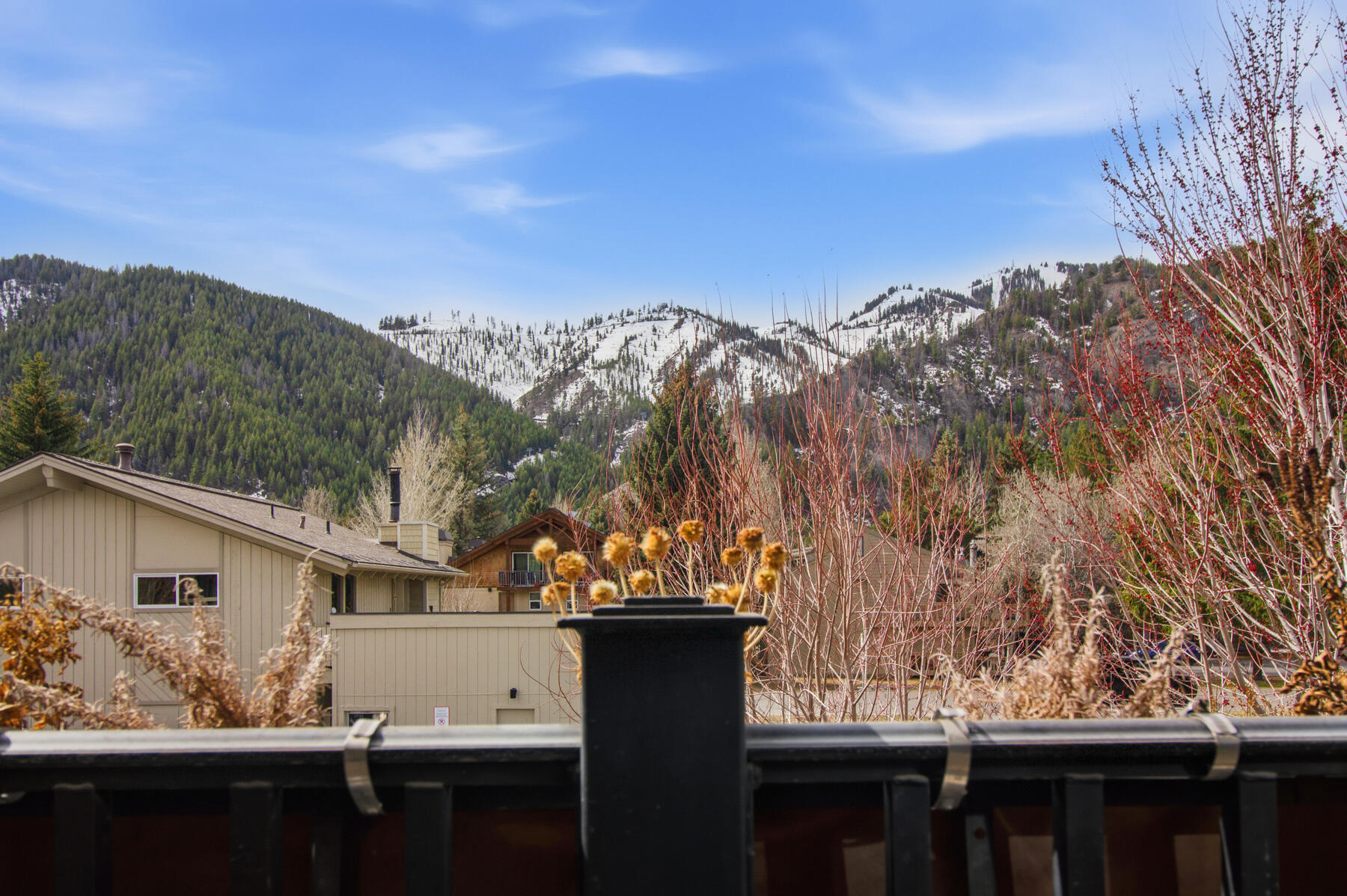 280 3rd Avenue South, Unit 13 Ketchum, ID 83340 - Photo 10 of 19 View from Primary