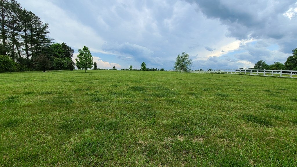 2297 Darlington Heights Road Pamplin, VA 23958 - Photo 9 of 41 Gallery Image 9