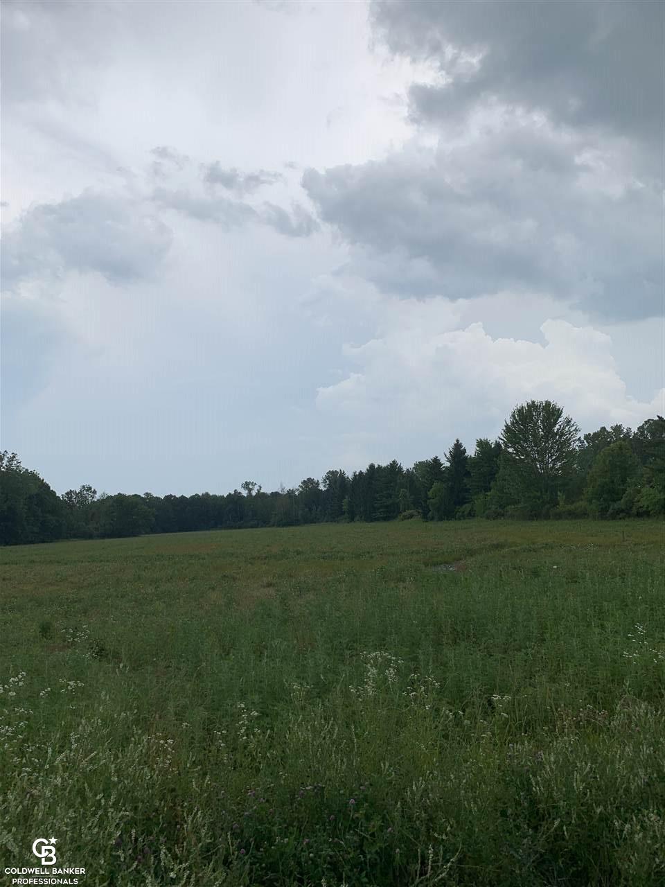 Imlay City Rd Ville West Avoca, MI 48006 - Photo 1 of 4