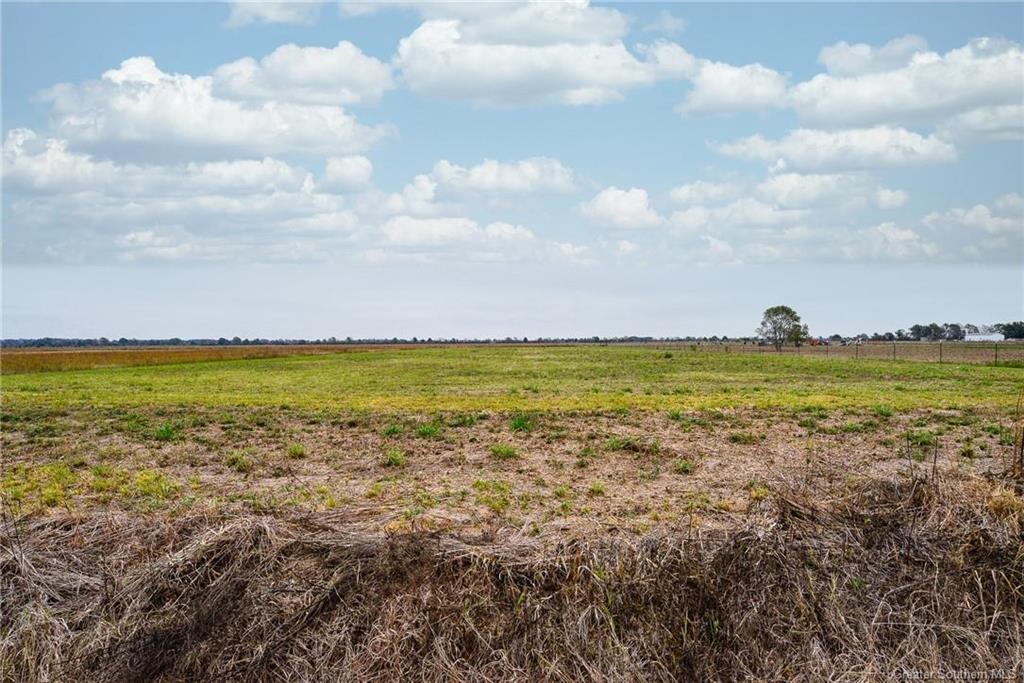 553 Charlie Kuntz Road Kinder, LA 70648 - Photo 2 of 6 Gallery Image 2