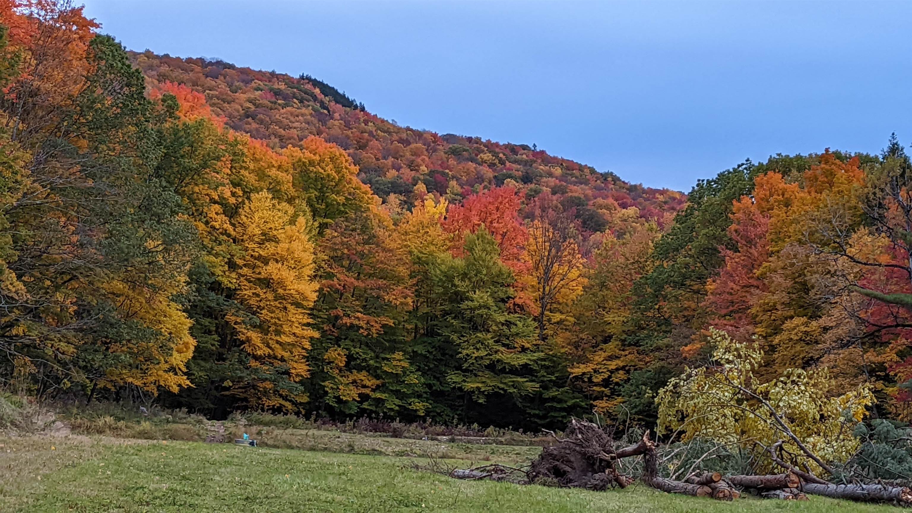 0 South Mendon Road Rutland, VT 05701 - Photo 8 of 13