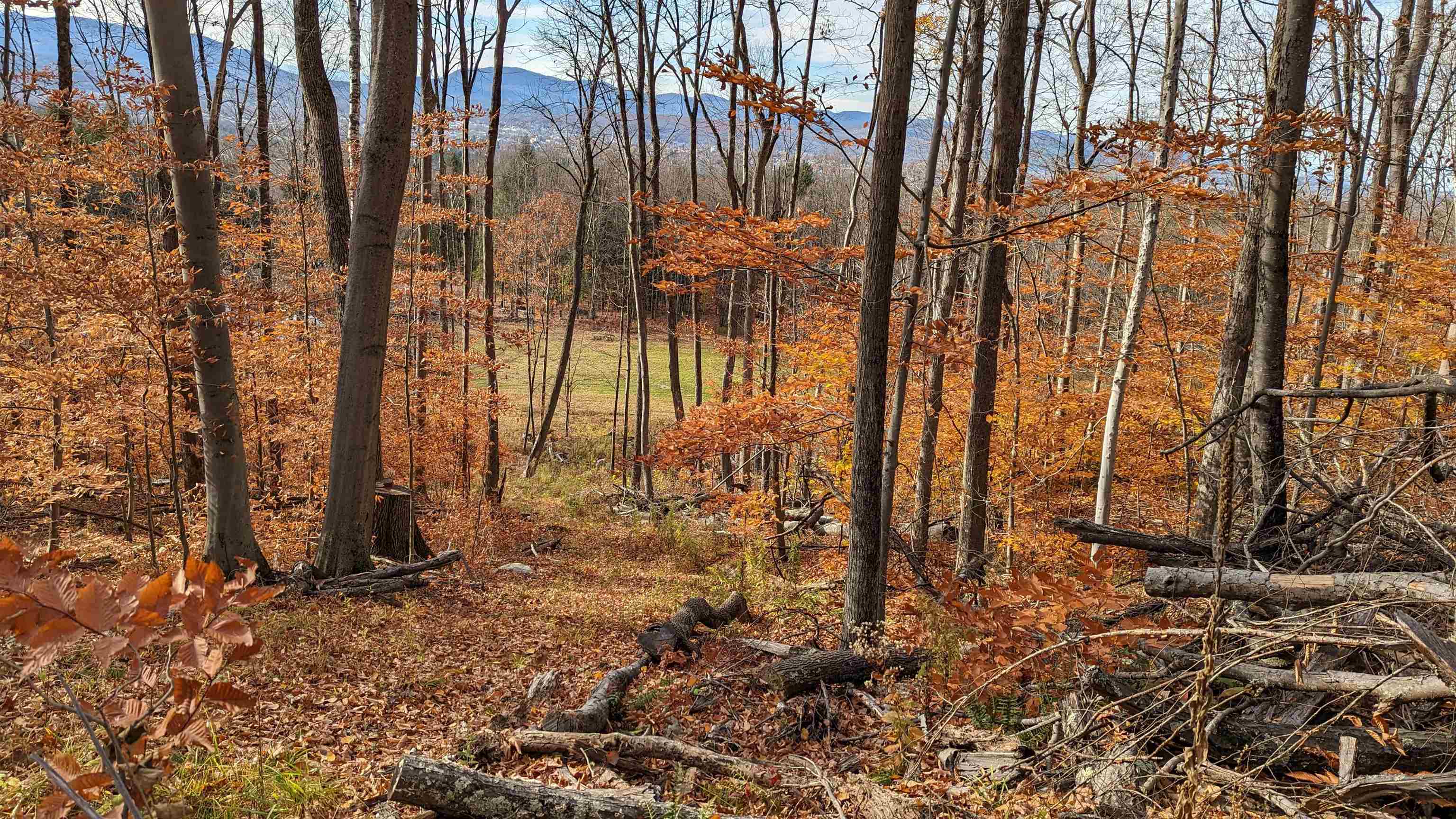 0 South Mendon Road Rutland, VT 05701 - Photo 9 of 13