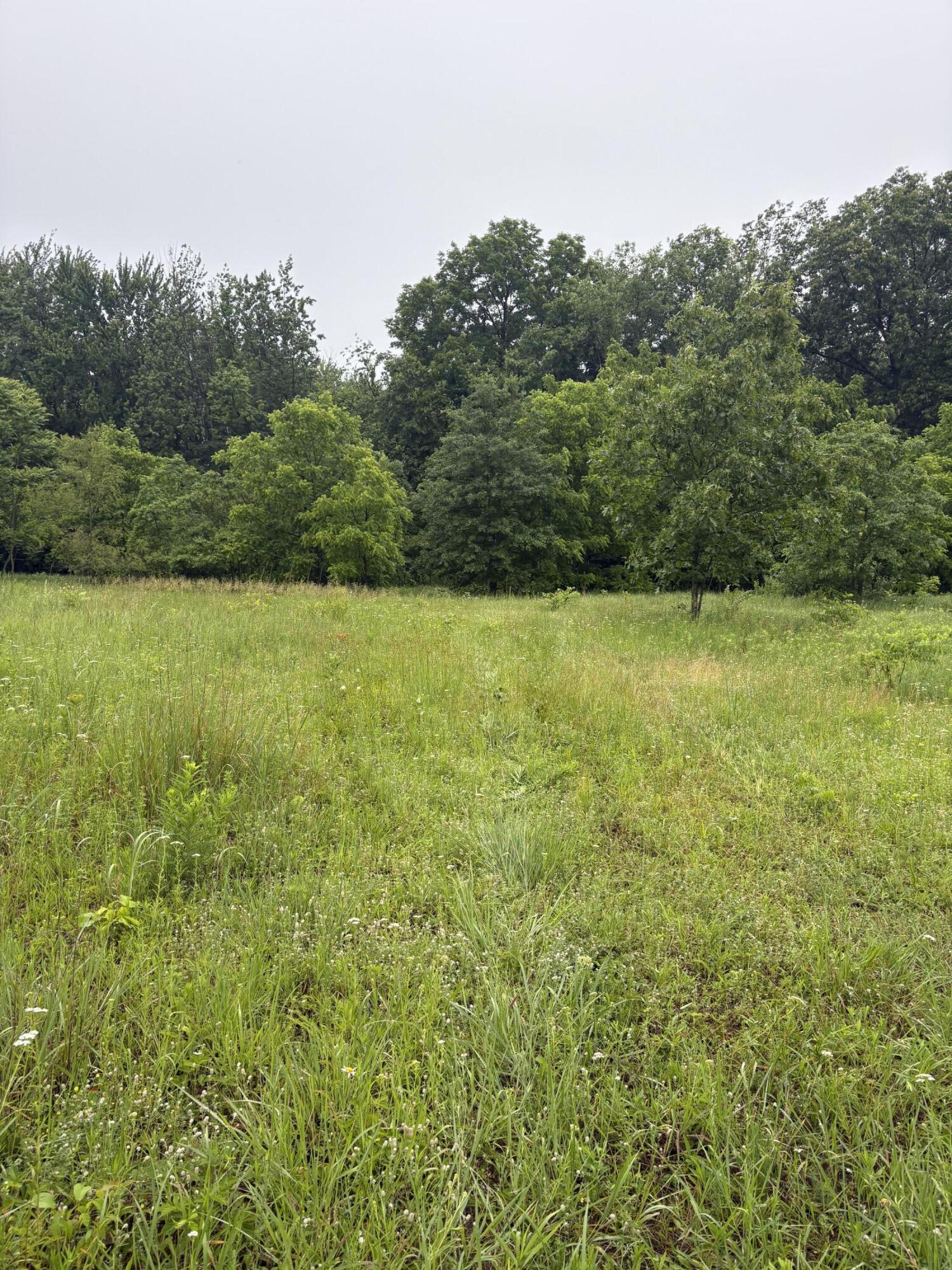 69704 Garver Lake Road Edwardsburg, MI 49112 - Photo 2 of 7 IMG_2899