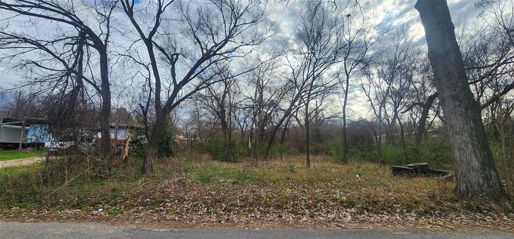 7141 Rucker Street Azle, TX 76020 - Photo 6 of 6 a backyard of a house with lots of green space