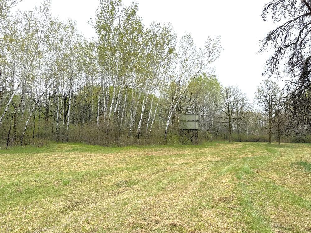 36 Co Highway 36 Frazee, MN 56544 - Photo 57 of 61