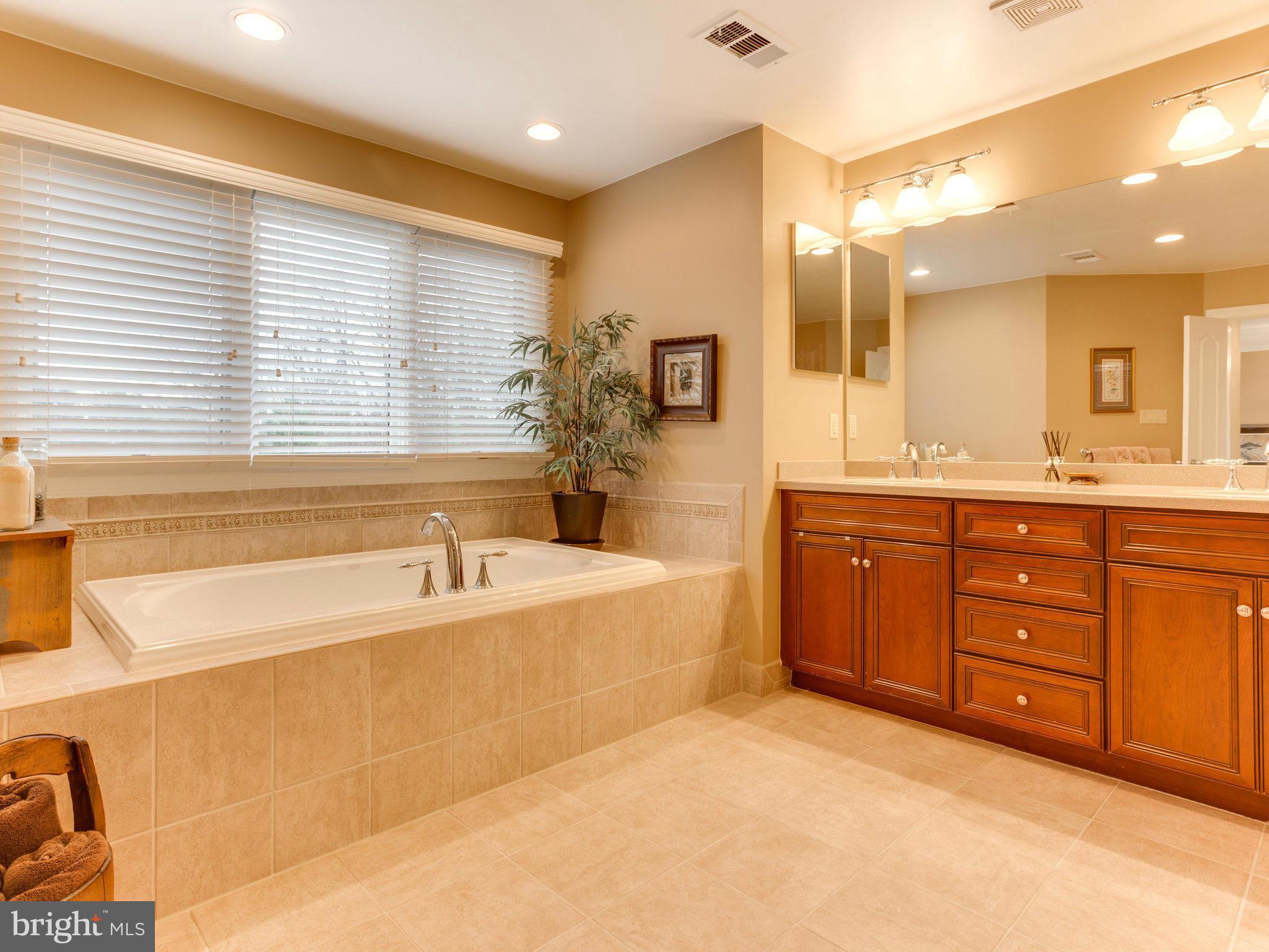 11107 Chessington Place Reston, VA 20194 - Photo 19 of 30 a spacious bathroom with a tub sink and mirror