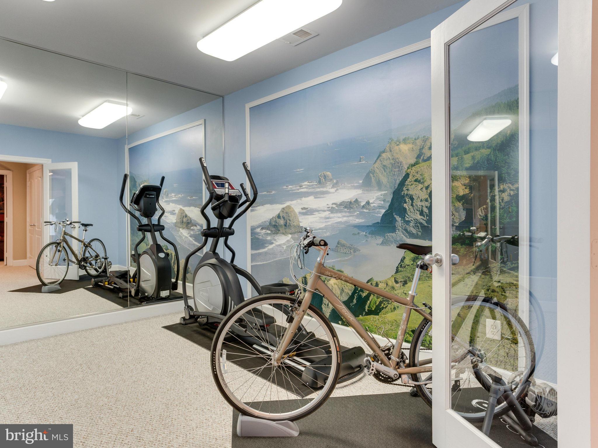 11107 Chessington Place Reston, VA 20194 - Photo 25 of 30 a view of a room with gym equipment