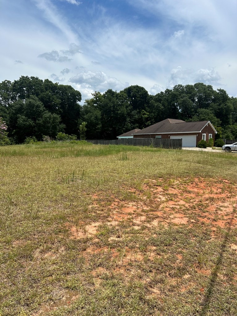 300 Rosa Lane Headland, AL 36345 - Photo 3 of 6