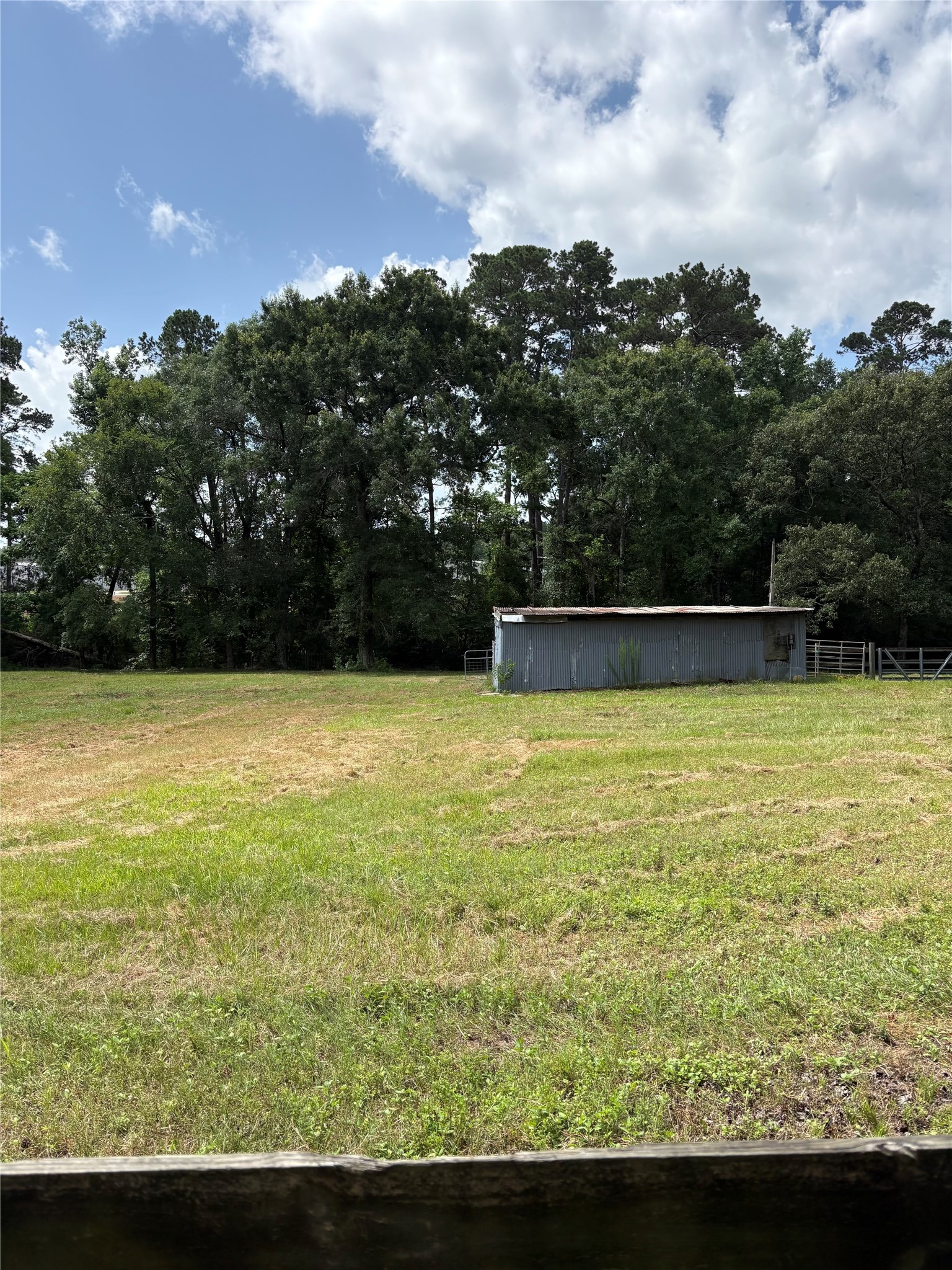 5801 Sapp Road Conroe, TX 77304 - Photo 32 of 35 Pasture