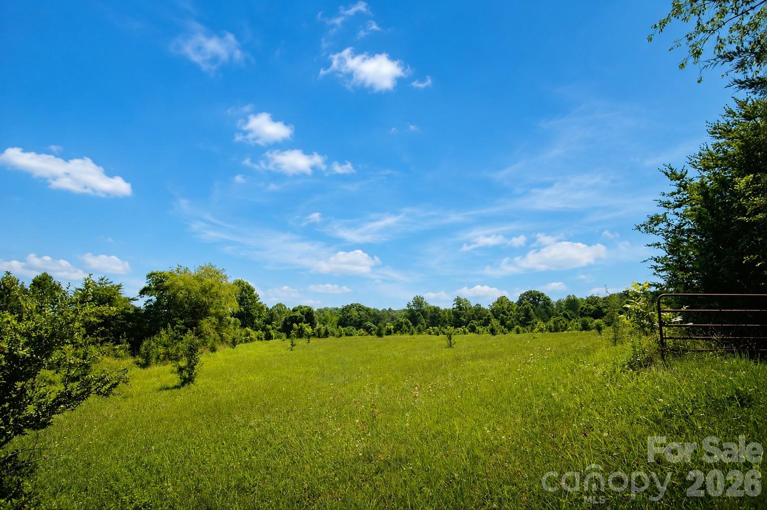 360 Davenport Road Rutherfordton, NC 28139 - Photo 5 of 16