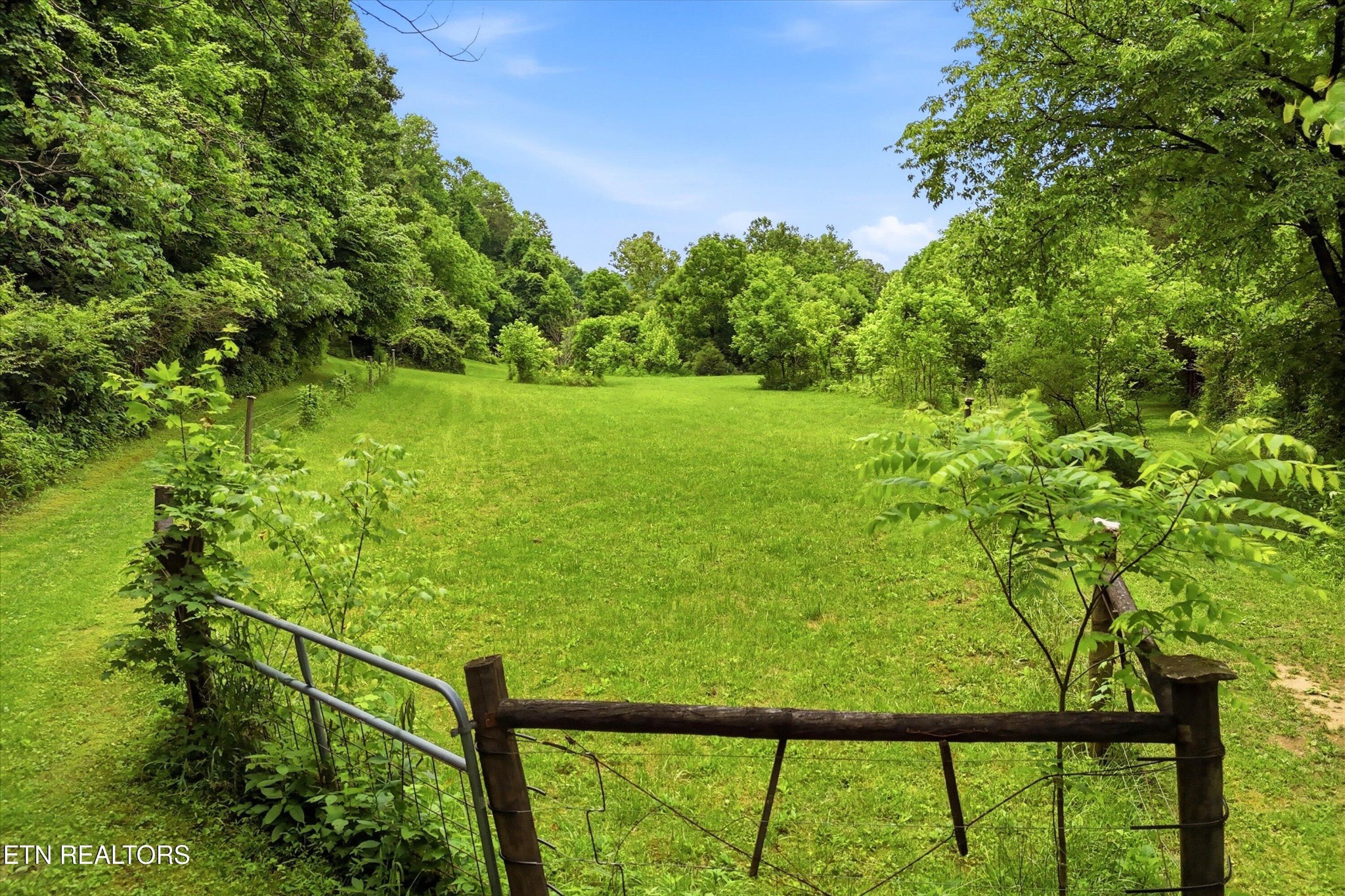 9613 Norris Freeway Heiskell, TN 37754 - Photo 46 of 60