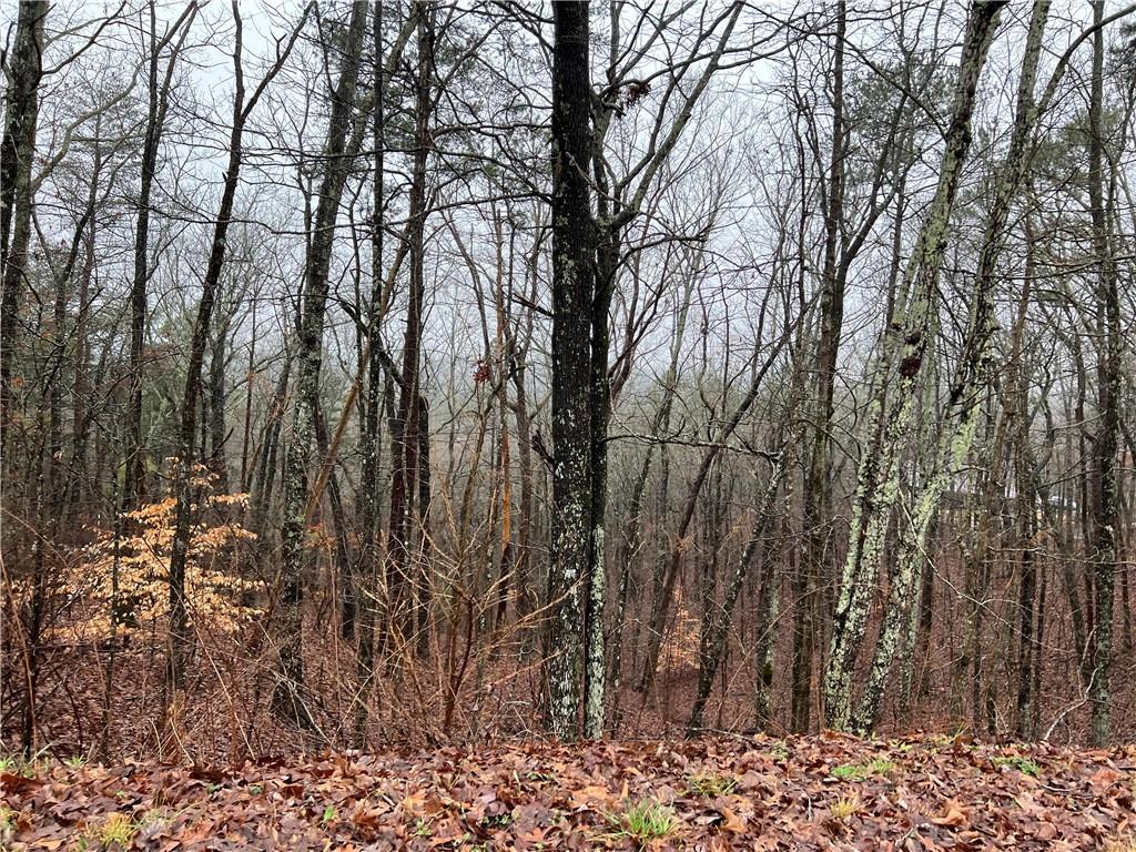 1.50-ac Family Acres Lane Ranger, GA 30734 - Photo 1 of 1 a view of a yard