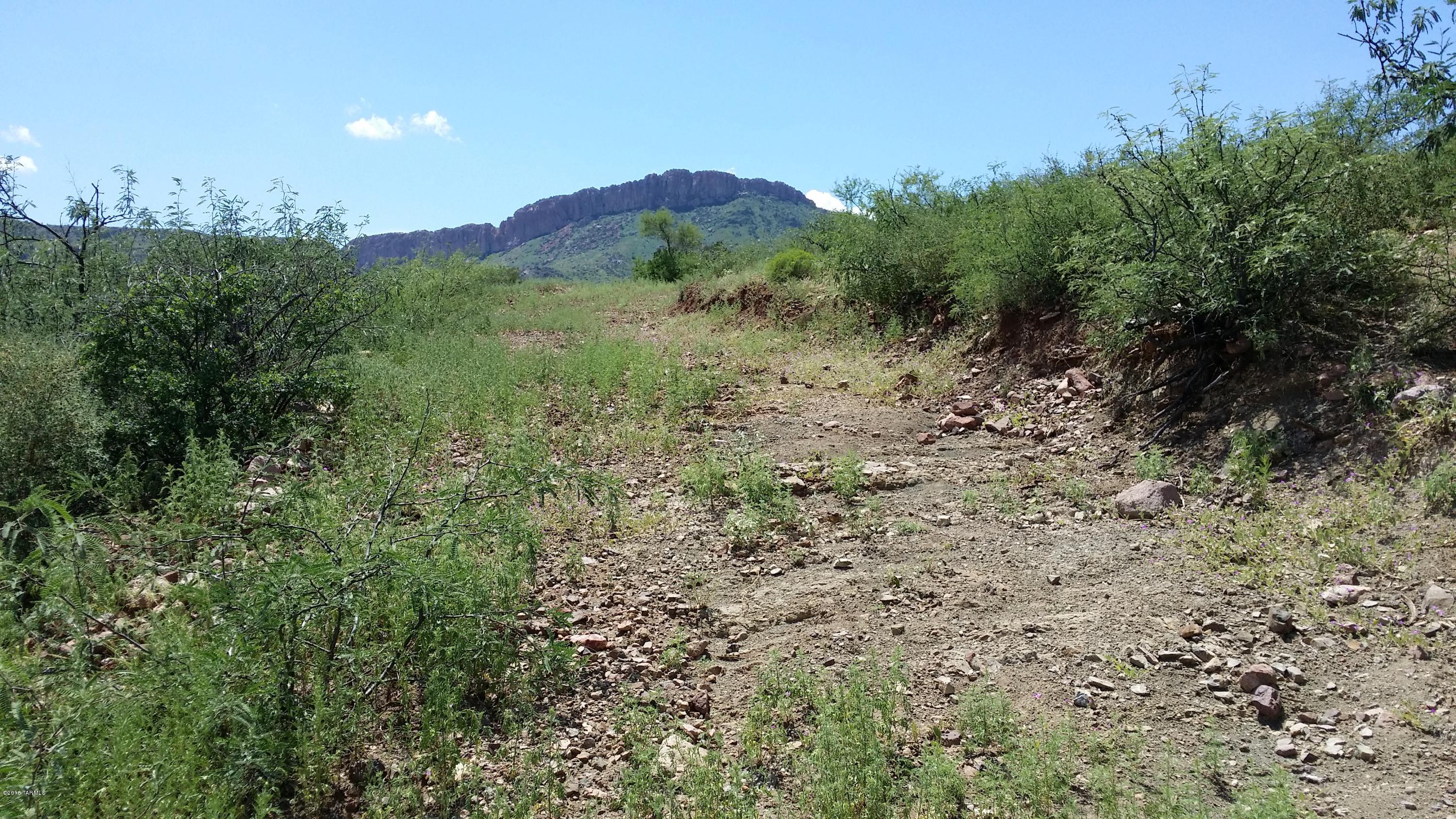 27.084-ac North Silver Creek Road Douglas, AZ 85607 - Photo 10 of 21