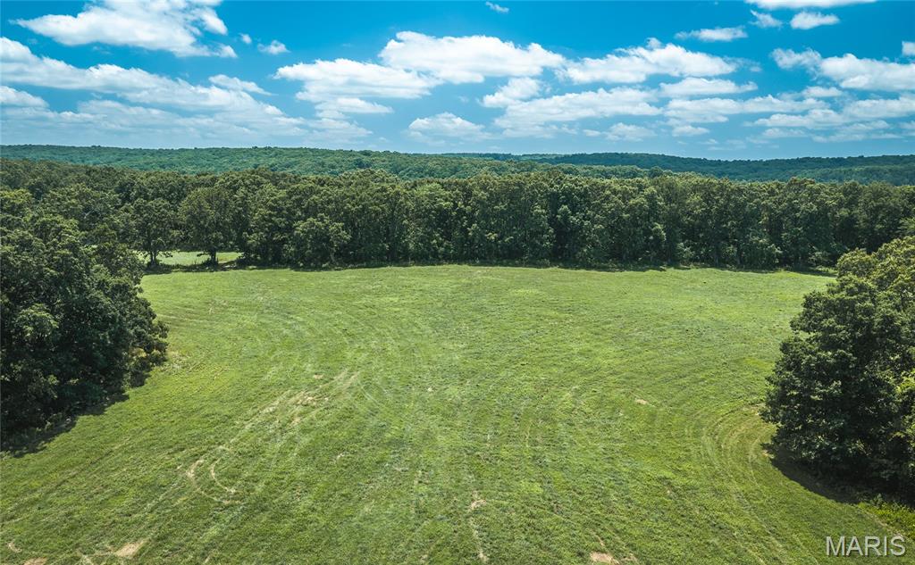 171 Czar Tower Road Steelville, MO 65565 - Photo 52 of 54
