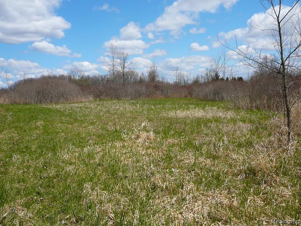 0 Brimley Road West Webberville, MI 48892 - Photo 8 of 36 2015-04-26 12.03