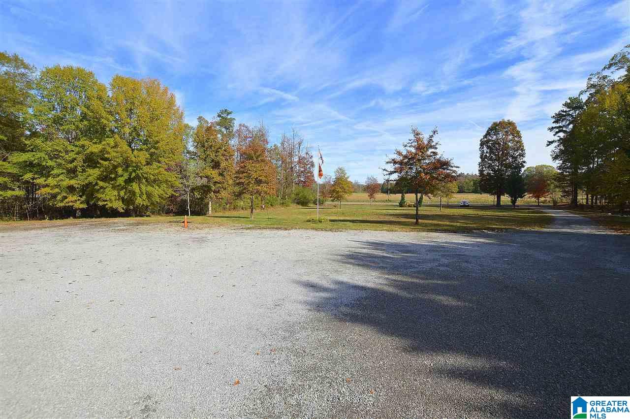1104 Beech Grove Road Hanceville, AL 35077 - Photo 15 of 15