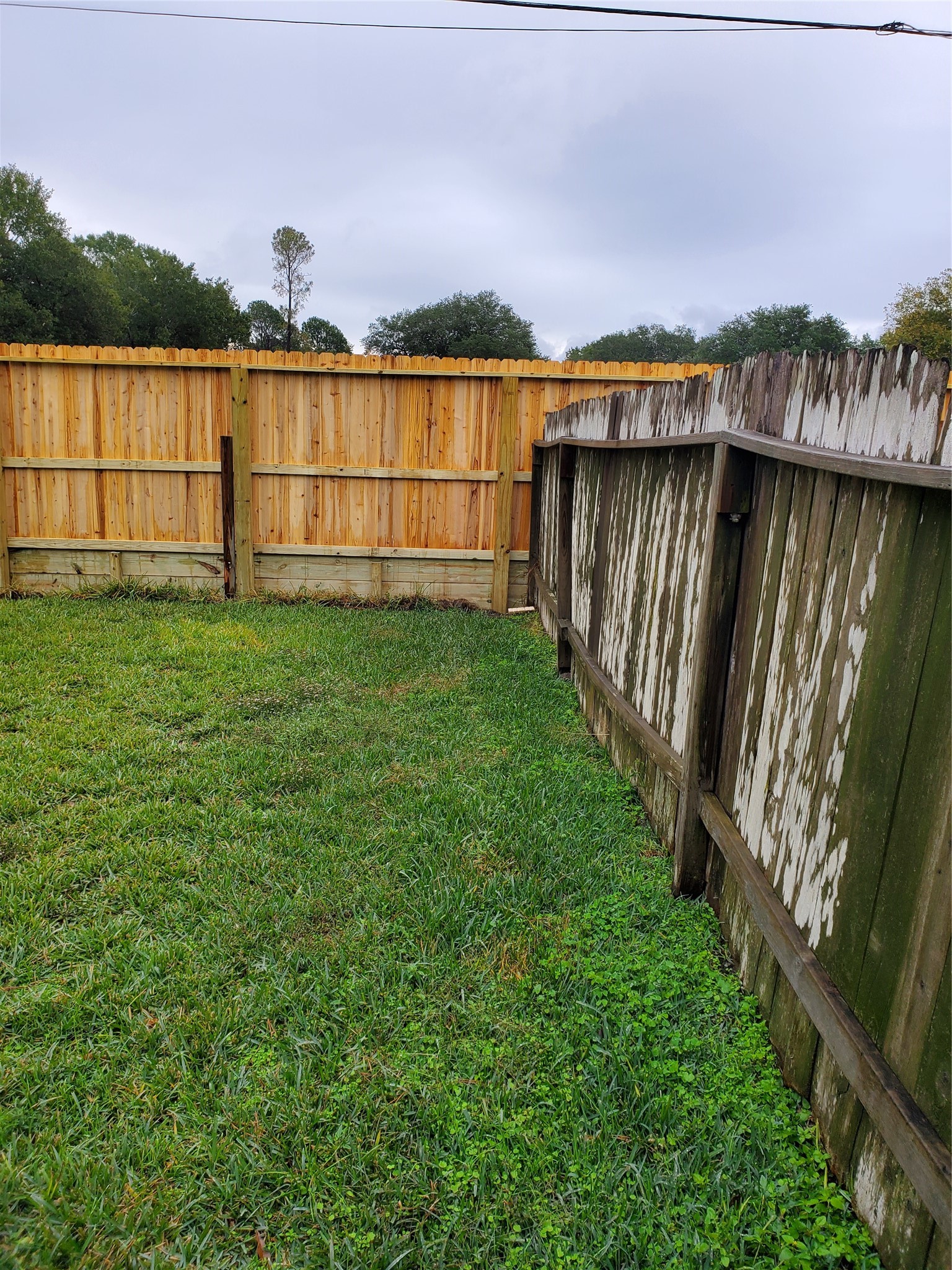 3223 West Street Rosenberg, TX 77471 - Photo 15 of 40