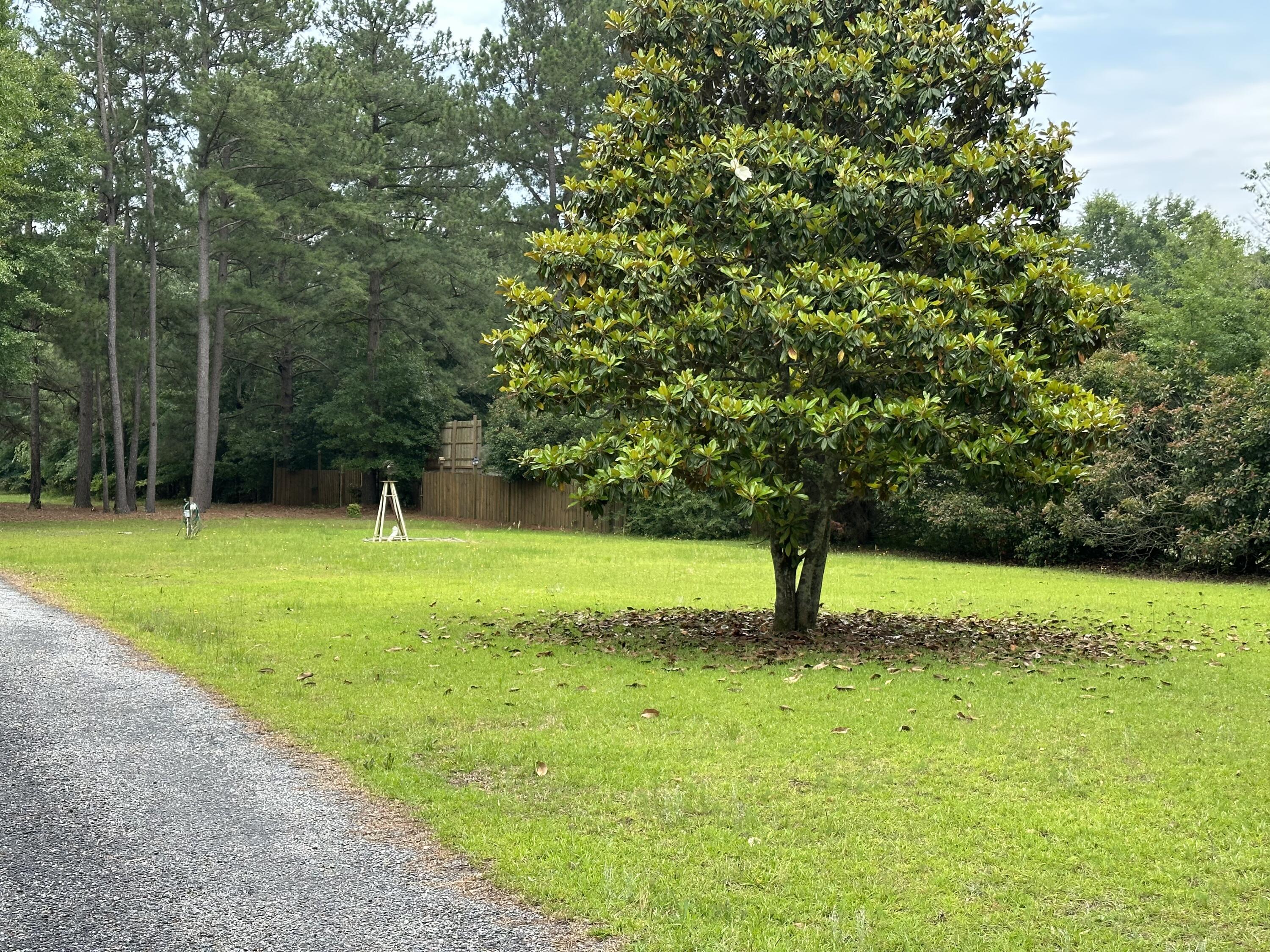 1354 Davis Bridge Road Williston, SC 29853 - Photo 5 of 45