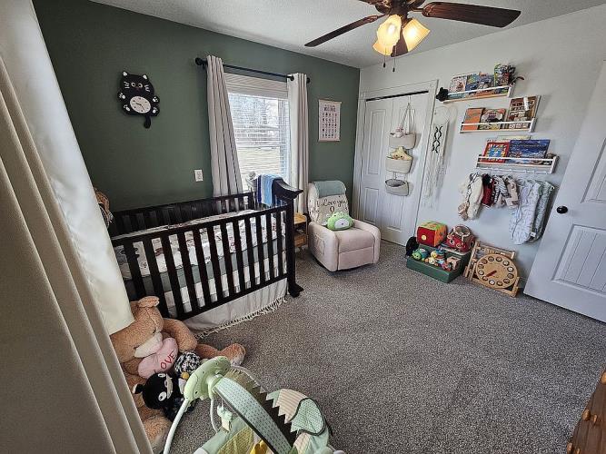 4427 Steelman Road Summersville, MO 65571 - Photo 15 of 27