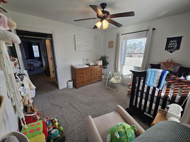 4427 Steelman Road Summersville, MO 65571 - Photo 16 of 27